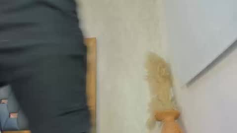 crystal_sm online show from February 27, 3:06 am