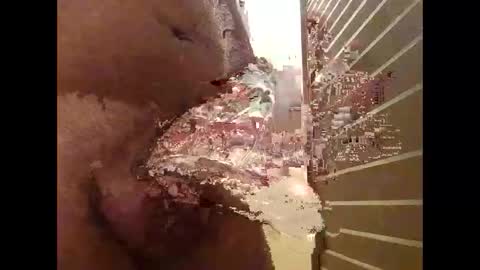 Snapshot of csunny37 chatting on January 6, 11:36 am csunny37 online show from January 6, 11:36 am