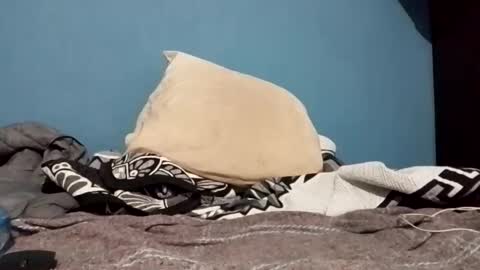 Snapshot of cumbian_chero chatting on February 22, 1:22 am cumbian_chero online show from February 22, 1:22 am