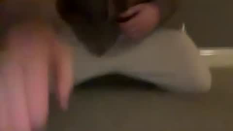 Cumfar online show from March 31, 10:54 pm