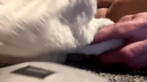 Snapshot of cumsinmealot chatting on January 25, 8:42 am Aprilia online show from January 25, 8:42 am