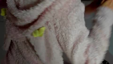 Antonia online show from November 12, 11:14 pm