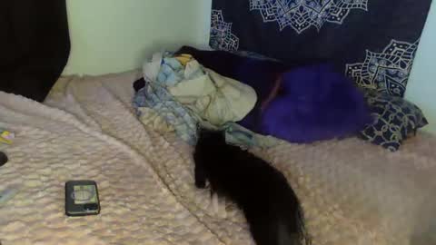 Snapshot of curvybcelinemixe chatting on February 8, 4:47 am Cline  online show from February 8, 4:47 am