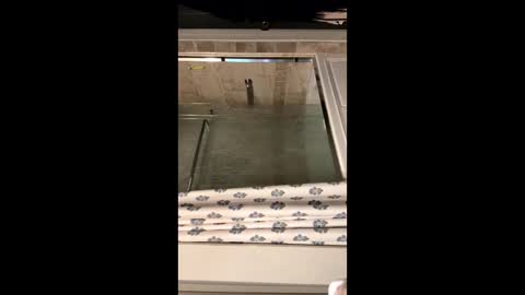 curvyd454066 online show from September 26, 7:07 pm