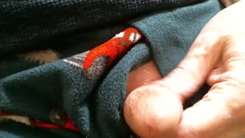 Snapshot of cutandwaxed2 chatting on January 29, 2:10 pm BI SMOOTH MATURE SUB online show from January 29, 2:10 pm