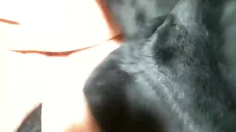 Snapshot of cutandwaxed2 chatting on March 5, 11:27 pm BI SMOOTH MATURE SUB online show from March 5, 11:27 pm