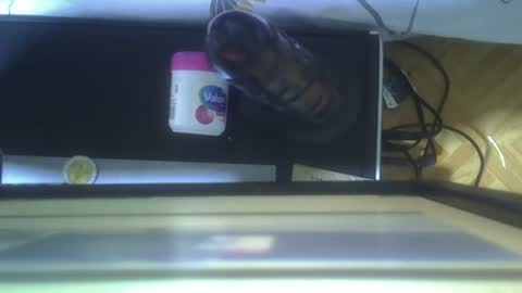 lynn online show from September 21, 3:57 pm