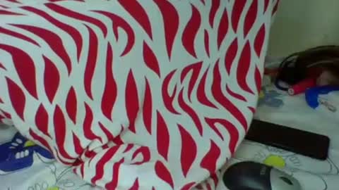 Snapshot of cute_sassy3 chatting on October 20, 4:57 am love online show from October 20, 4:57 am