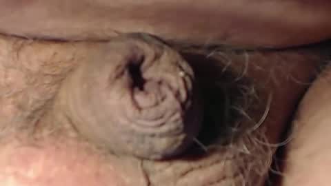 cute_stud1010 online show from February 22, 3:10 pm