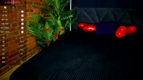 Tory online show from February 11, 8:25 pm