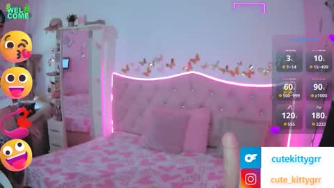 Kitty online show from November 27, 3:03 pm