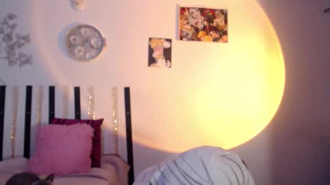 haome online show from January 15, 8:01 pm