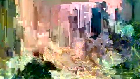 Zia online show from November 17, 11:21 pm