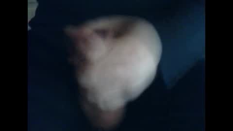 Snapshot of cutieguy86 chatting on October 31, 11:44 am CutieBoy online show from October 31, 11:44 am