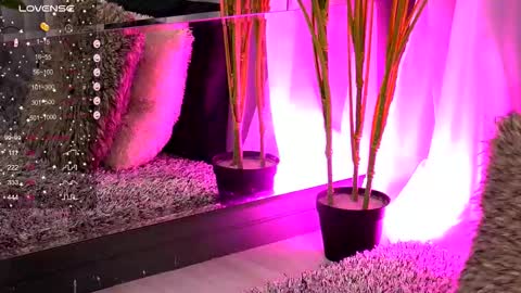 Ivy online show from November 14, 4:22 am