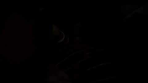 d1domoo online show from February 25, 4:49 pm