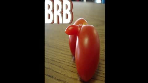 Dave online show from April 15, 4:19 am