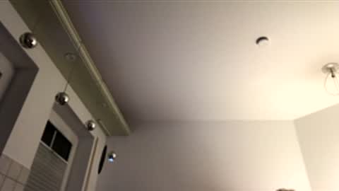 dachdecker7269 online show from December 16, 5:12 am