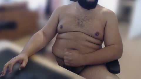 Daddy Bear  Papa Ours online show from April 28, 10:09 am