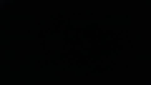 DDick online show from November 16, 8:20 am