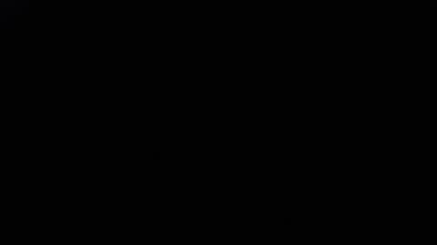 DDick online show from November 29, 9:12 am