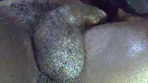 GIANT  Lamar  72 ft  tall  with a  10 inches  BBC   hard quick cumshot in private show lets go online show from April 1, 11:44 am