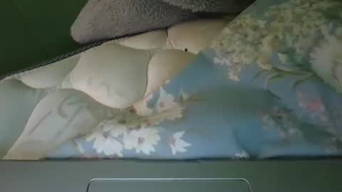 Snapshot of daisnconfusion_ chatting on March 6, 7:10 pm daisnconfusion_ online show from March 6, 7:10 pm