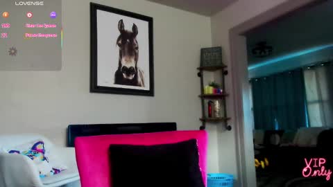 Daisy online show from March 29, 1:00 pm