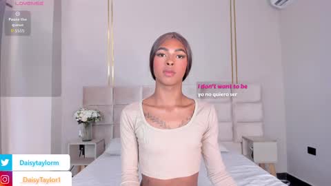 Daisy online show from November 17, 12:22 pm