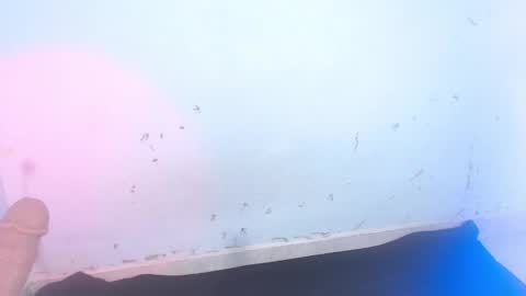 Snapshot of dakkotta_curvy chatting on September 11, 7:08 am VALENTINA online show from September 11, 7:08 am