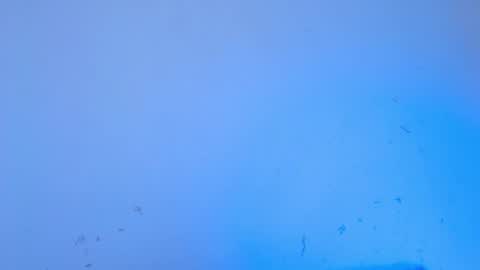 Snapshot of dakkotta_curvy chatting on September 13, 6:57 am VALENTINA online show from September 13, 6:57 am