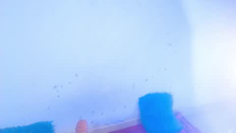 Snapshot of dakkotta_curvy chatting on September 16, 7:20 am VALENTINA online show from September 16, 7:20 am