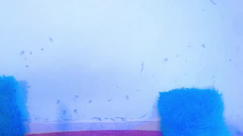 Snapshot of dakkotta_curvy chatting on September 17, 7:32 am VALENTINA online show from September 17, 7:32 am