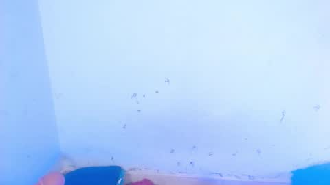 Snapshot of dakkotta_curvy chatting on September 18, 7:21 am VALENTINA online show from September 18, 7:21 am