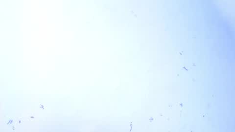 Snapshot of dakkotta_curvy chatting on September 28, 7:47 am VALENTINA online show from September 28, 7:47 am