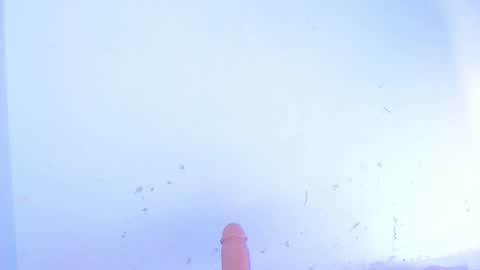 Snapshot of dakkotta_curvy chatting on October 10, 7:51 am VALENTINA online show from October 10, 7:51 am