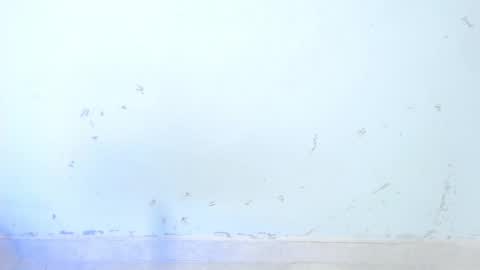 Snapshot of dakkotta_curvy chatting on October 16, 8:48 am VALENTINA online show from October 16, 8:48 am