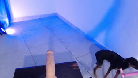 Snapshot of dakkotta_curvy chatting on November 16, 7:41 pm VALENTINA online show from November 16, 7:41 pm