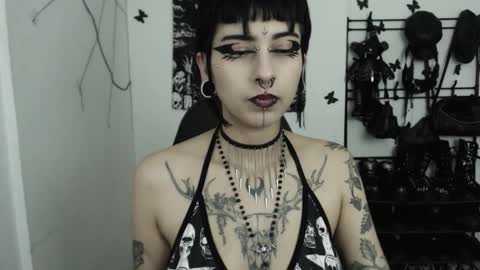 dakota online show from November 12, 2:12 am