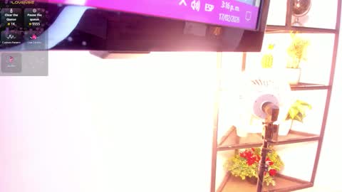 Sammy online show from February 17, 8:15 pm