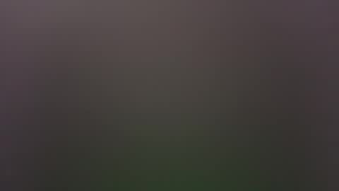 dallasjmg online show from February 25, 10:19 pm