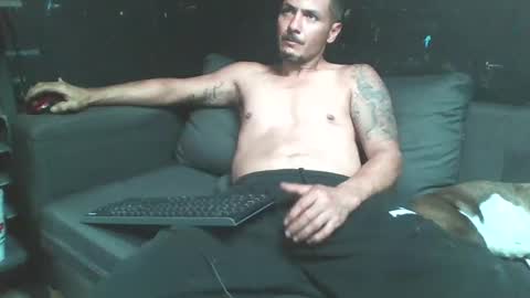 dallaslove23 online show from November 9, 2:48 pm