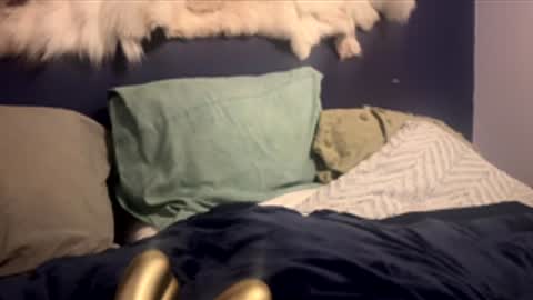 Snapshot of damontsi chatting on February 24, 2:48 pm damontsi online show from February 24, 2:48 pm