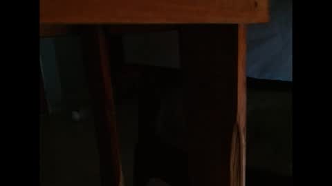 Snapshot of dangerhook chatting on November 24, 11:32 am dangerhook online show from November 24, 11:32 am