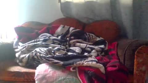 Snapshot of dani9821569006 chatting on March 25, 5:08 pm dani9821569006 online show from March 25, 5:08 pm