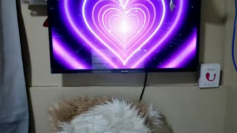 Danica online show from June 26, 11:31 pm
