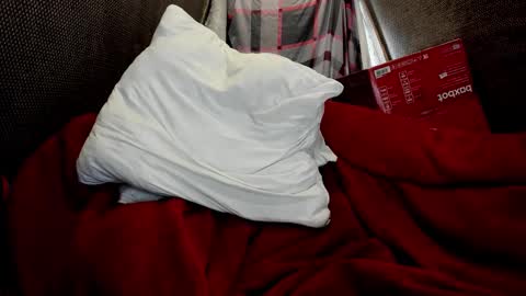 Snapshot of daniel_like chatting on March 24, 1:27 pm Just Ben online show from March 24, 1:27 pm