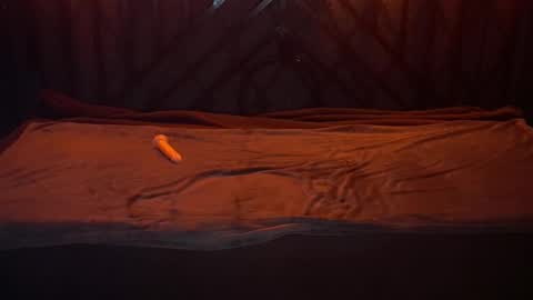 danielareign online show from December 20, 7:26 am