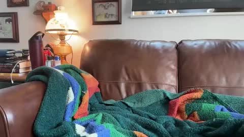 Snapshot of danielbishopxxx chatting on May 21, 6:37 pm Daniel Bishop Mason online show from May 21, 6:37 pm
