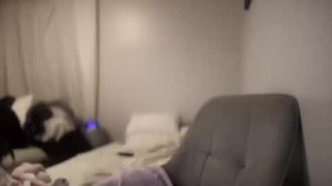 daniellealexa online show from October 8, 10:02 am